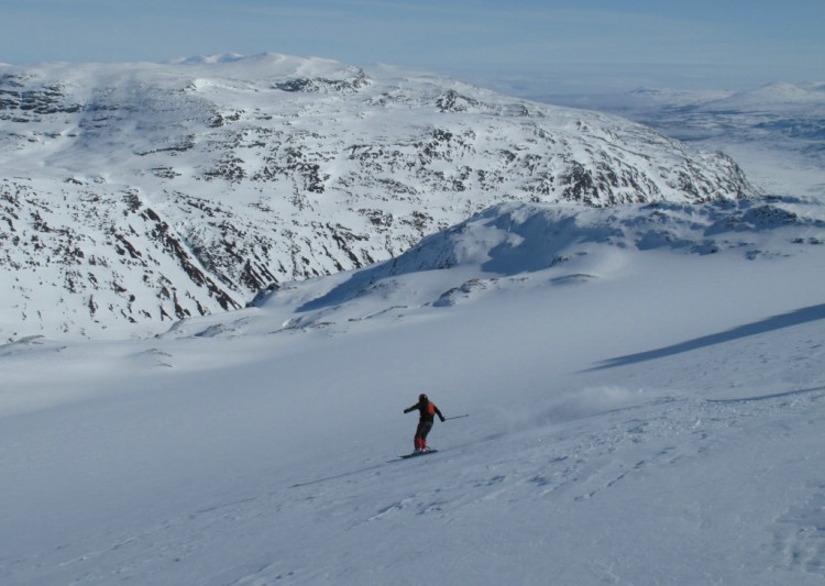 Monoskier letting fly, Heliskiing Riksgränsen, 9th April 2010 Photo: Lisa Auer